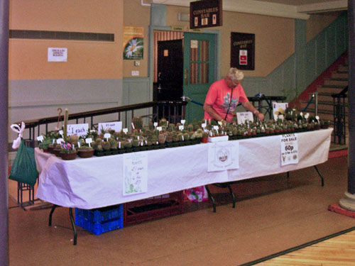 Hartlepool Horticultural Show (2006)