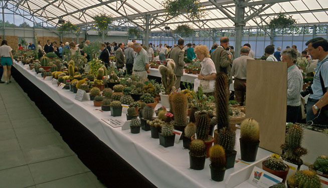 Zone One Show - National Garden Festival (cactus classes)