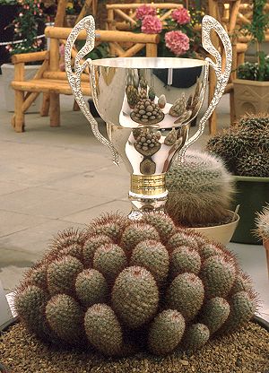 Best cactus in show