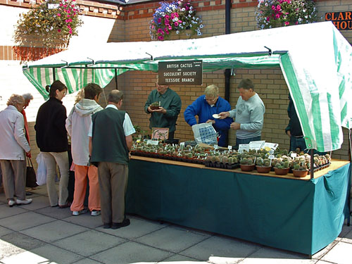 Selling plants at Saltburn (2005)