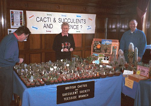The sales table and 'Science' banner